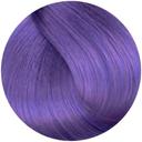 Lanza 100V Ultra Light Violet Blonde 90ml