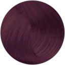 Lanza 200V Super Lift Violet Blonde 90ml