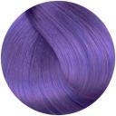 Lanza 9NA Light Natural Ash Blonde 90ml