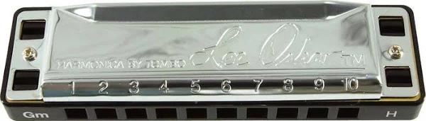 Lee Oskar Harmonic Minor Harmonica, G