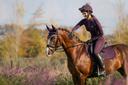 LeMieux Fig Women's Horse Riding Base Layer - UK08