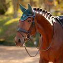 LeMieux Orchid Loire Horse Fly Hood - Medium