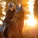 LeMieux Orchid Loire Horse Fly Hood - Medium