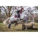 LeMieux proSPORT Suede GP/Jump Square Saddlecloth - Rioja