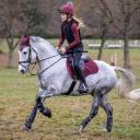 LeMieux proSPORT Suede GP/Jump Square Saddlecloth - Rioja