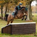 LeMieux Spruce Classic Horse Fly Hood - Medium