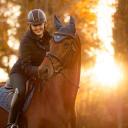 LeMieux Spruce Loire Horse Fly Hood - Medium