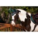LeMieux Spruce Loire Horse Fly Hood - Medium