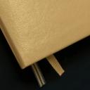 Leuchtturm1917 Notebook A5 Dotted - Gold Limited Edition
