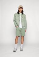 Levi's Denim Trucker Jacket in Light Green with Pockets