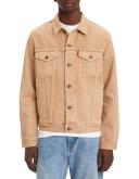 Levi's Trucker Jacket in Beige XXL
