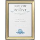Lifestyle Brands Certificate Frame A3 Black/Gold