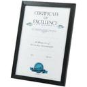 Lifestyle Brands Certificate Frame A3 Black/Gold