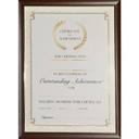 Lifestyle Brands Certificate Frame A3 Black/Gold