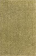 Light Green Solid Frieze Rug 5x8