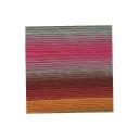 Lion Brand Yarn 545-204 Landscapes Yarn Desert Spring