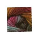 Lion Brand Yarn 545-204 Landscapes Yarn Desert Spring