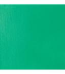 Liquitex : Professional : Heavy Body Acrylic Paint : 138ml : Bright Aqua Green