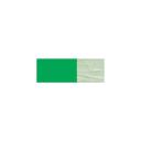 Liquitex : Professional : Heavy Body Acrylic Paint : 138ml : Permanent Light Green