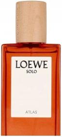 Loewe 7 Anonimo Eau de Parfum Spray - 100ml/3.4oz