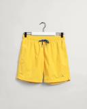 Long Cut Swim Shorts 2XL / Lavish Green / Green