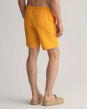 Long Cut Swim Shorts L / Lavish Green / Green