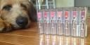 Loreal Infallible Lipstick, Opulent Organza 812 - 0.09 oz