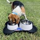 Loving Pets Bella Spill-Proof Dog Mat - Tan - Small