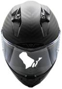 LS2 Thunder Carbon Helmet