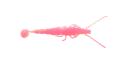 Madeye Paddle Prawn 7in / Pink