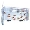 Marina Hang-on Breeding Box, Large, 2 Litre