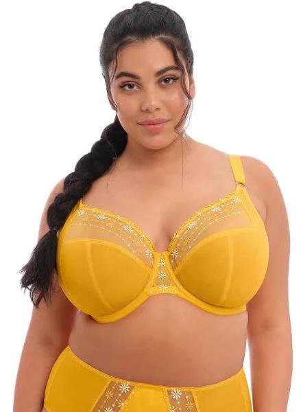 Matilda - Fashion Colourway | Elomi | Illusions Lingerie Daisy / 10GG