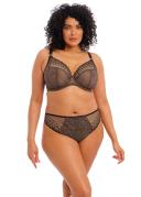 Matilda - Fashion Colourway | Elomi | Illusions Lingerie Daisy / 18F
