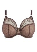 Matilda - Fashion Colourway | Elomi | Illusions Lingerie Daisy / 18F