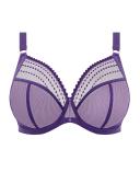 Matilda - Fashion Colourway | Elomi | Illusions Lingerie Daisy / 18F