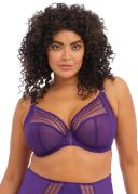 Matilda - Fashion Colourway | Elomi | Illusions Lingerie Iris / 20GG