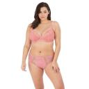 Matilda - Fashion Colourway | Elomi | Illusions Lingerie Iris / 20GG