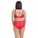 Matilda - Fashion Colourway | Elomi | Illusions Lingerie Iris / 20GG