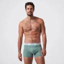 Maxx 3 Pack Bamboo Trunks | Green | 2XL