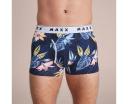 Maxx Flyfront Trunks | Blue