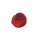 Maybelline Superstay 24hr Super Impact Lip Colour - Non-Stop Orange