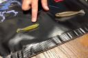 Megabass Hazedong Shad Green Pumpkin Chartreuse; 3 in.