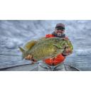 Megabass Hazedong Shad Green Pumpkin Chartreuse; 3 in.