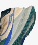 Men's Nike Pegasus Trail 4 GORE-TEX - Blue Sneaker