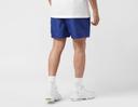 Men's Nike Swim 5" Cargo Volley Shorts - Blue