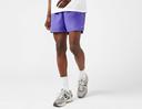 Men's Nike Swim Essential 5" Volley Shorts - Purple