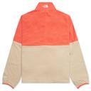 Men's TNF Polartec 100 Fleece ¼ Zip