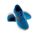 Mens Brooks Ghost 14