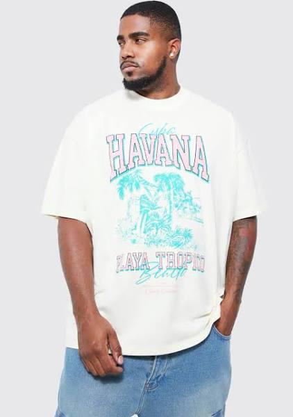 Mens Ecru Plus Oversized Heavyweight Tropical T-Shirt