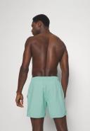 Mens Essential 16" Watershort